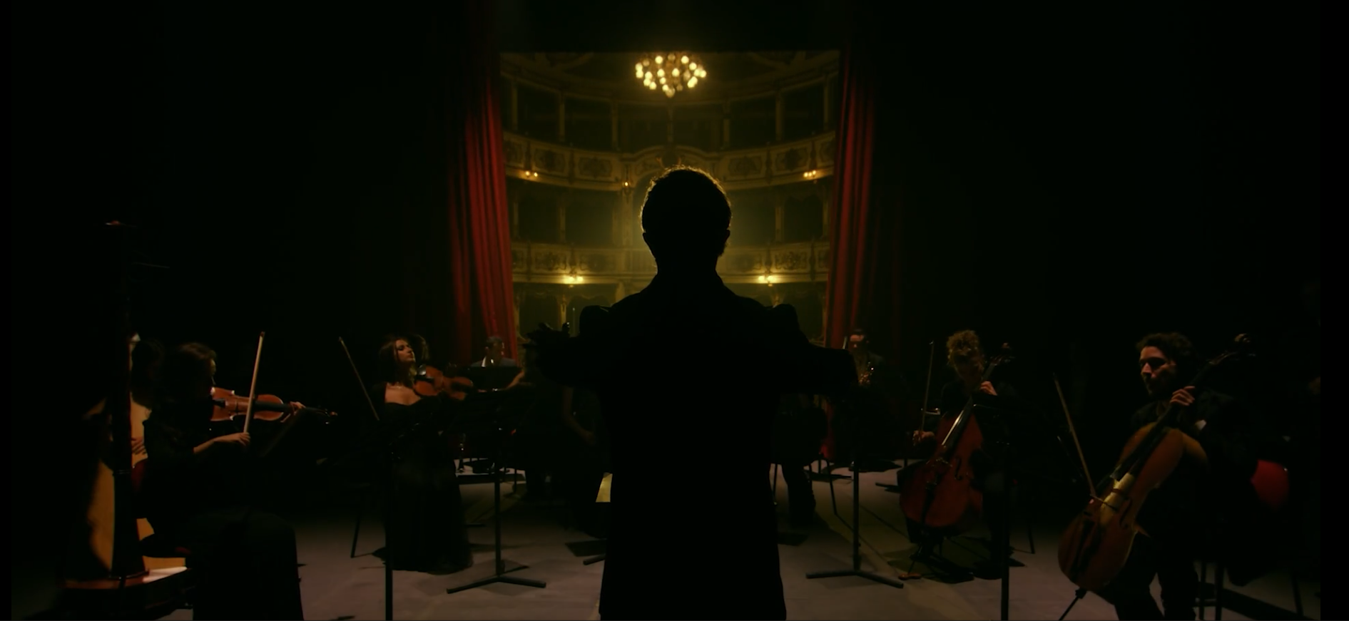 The Orchestra